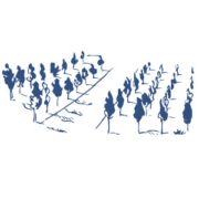 Weine-vom-Weingut-Huberspitzer-Thermenregion